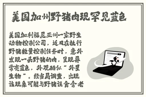4虎tv换哪个网名了